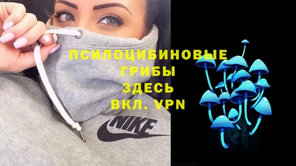 наркотики Болотное