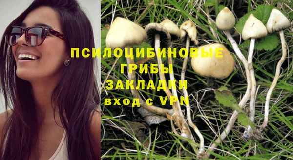 скорость Няндома