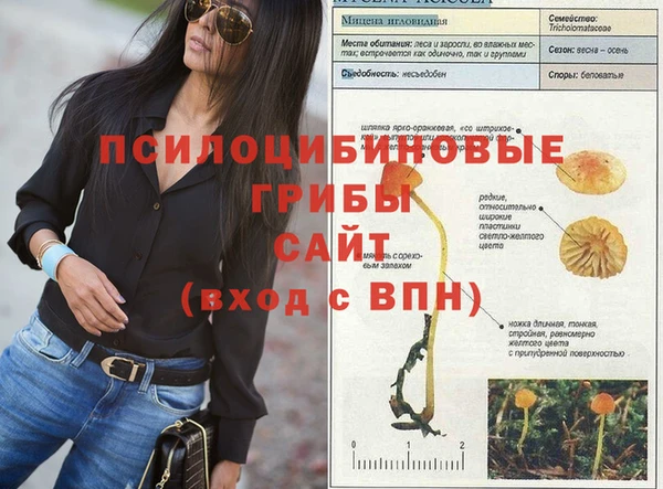 прущий лед Нягань