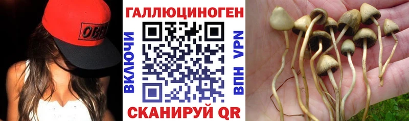 Псилоцибиновые грибы Psilocybine cubensis  купить   Армянск 