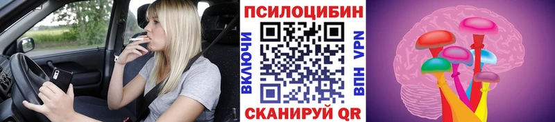 Псилоцибиновые грибы Cubensis Армянск